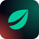 Bitfinex